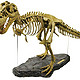 Geoworld T-Rex Skeleton