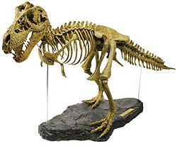 Geoworld T-Rex Skeleton