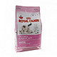 ROYAL CANIN 皇家 BK34 怀孕哺乳期母猫、4月龄以下幼猫奶糕 4kg