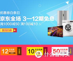优惠券码：京东 白条优惠券