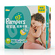 Pampers 帮宝适 超薄干爽婴儿纸尿裤 M192片 6-11kg +帮宝适 超薄干爽拉拉裤 M52片