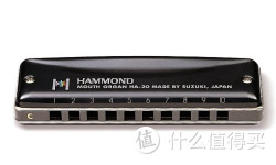 SUZUKI 铃木 Hammond HA-20 十孔布鲁斯口琴 C调