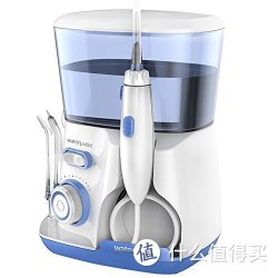 Waterpulse 健适宝 V300 优越型冲牙器