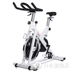 SUNNY HEALTH&amp;FITNESS 豪华家用动感单车 SF-B1110 白色 链条版 