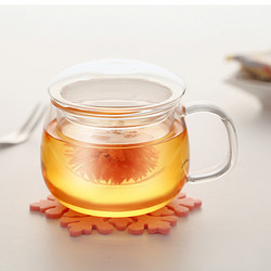 Nonxis玻璃杯 带盖水果泡花茶杯 办公过滤耐高温透明水杯子