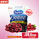 美国 Ocean Spray  蔓越莓干袋装 1360g