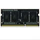 十铨（Team） 低电压 DDR3 1600 8G 笔记本内存