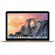 Apple MacBook 12英寸笔记本 金色 256GB闪存 MK4M2CH/A