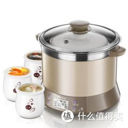 Bear 小熊 DDZ-125TC 电炖锅 2.5L