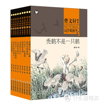《曹文轩画本·草房子》（共9册）+《一天一故事》（共12册）+《绝密档案：赛文》