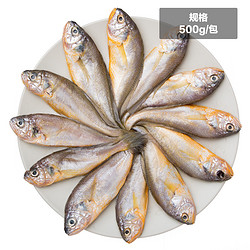 华东限1件：东海小黄鱼（10-12条装）冰冻海鲜 东海特产