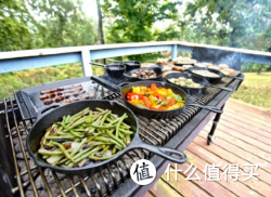 Lodge Manufacturing Company L8SK3 硅胶柄铸铁锅（26cm）