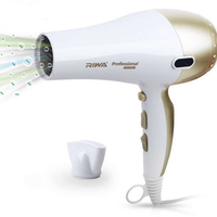 RIWA 雷瓦 RC-308A 负离子恒温电吹风 2000W