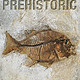 Prehistoric （英语 ）精装版