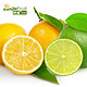 移动端：黄柠檬1斤  青柠檬1斤 新鲜柠檬 国产水果