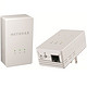 NETGEAR 美国网件 XAVB1301 电力线适配器