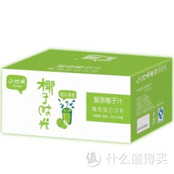Huiyuan 汇源 爱上小时光 复原椰汁 植物蛋白饮料 200ml*24盒