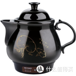 TONZE 天际 BJH-W300F 养生壶煎药壶 3L