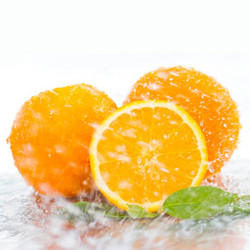 绿滋肴 赣南脐橙 优质标准果 4个
