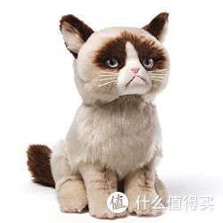 Gund 不爽猫 毛绒玩具 特价92.77元+运费41.47元，直邮到手约135元