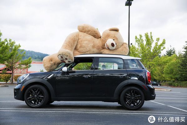 Costco Bear 玩具熊（2.4米庞然巨熊）
