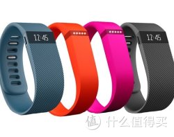 fitbit Charge Wristband 智能手环