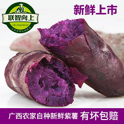 新鲜紫薯5斤