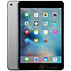 Apple 苹果 iPad mini 4 WLAN版 MK6J2CH/A 16GB 深空灰色