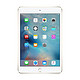 Apple 苹果 iPad mini 4 MK6L2CH/A WLAN版 7.9英寸平板电脑 16G 金色