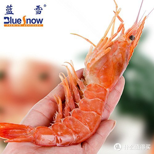 Blue Snow 蓝雪 阿根廷红虾 L2（20/30） 2Kg