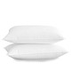 Downia 杜维雅 B-016 羽绒枕 90%白鸭绒枕(对枕)  白色 74*48cm（填充物900克）