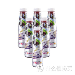 宝桑园 桑巴舞 桑果汁饮料 450ml*6瓶