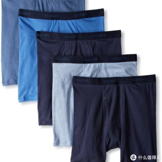 Hanes 恒适 男士纯棉内裤5条装 什锦染色