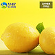 华柠四川 安岳尤力克 黄柠檬 丑果2500克装 新鲜柠檬水果5斤装