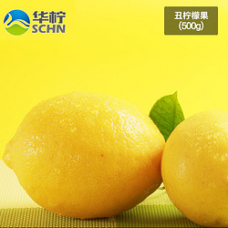 华柠四川 安岳尤力克 黄柠檬 丑果2500克装 新鲜柠檬水果5斤装