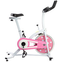 SUNNY HEALTH & FITNESS SF-B1203 炫彩版专业家用室内健身动感单车