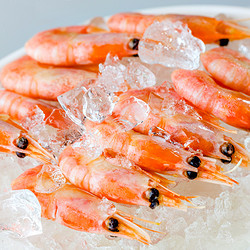 加拿大北极甜虾熟冻 500g（约60头）