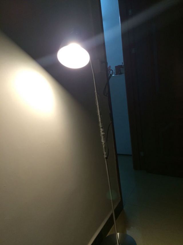 物美价廉