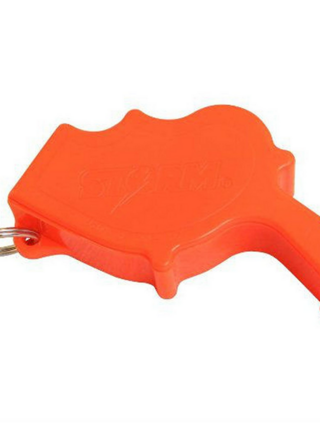 世界上最响的口哨