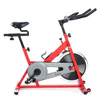 SUNNY HEALTH&FITNESS 专业家用动感单车 静音室内健身器材 SF-B1001 红色