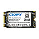 GLOWAY 光威 NGFF 256G 2242 SSD固态硬盘