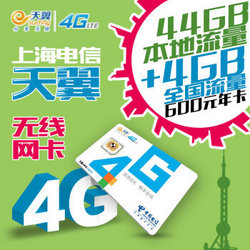 CHINA TELECOM 中国电信 4G上网卡 44G+4G年卡