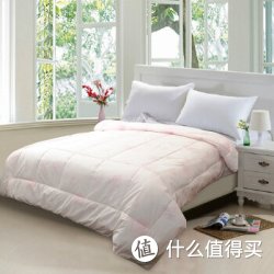HOMES 红富士 CSE-2 床品家纺被芯 150*210cm粉