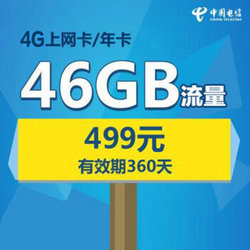 CHINA TELECOM 重庆电信 上网年卡 46GB超大流量（43GB本地流量+3GB全国流量）