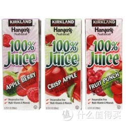 KIRKLAND 柯克兰 混合果汁/箱（36X200ml）