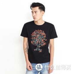 VANCL 凡客诚品 男士T恤
