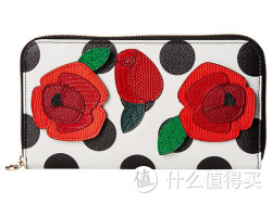 Dolce & Gabbana Polka Dot and Floral Zip Around 钱包