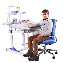 心家宜 儿童青少年矫正坐姿可升降桌椅套装 M105+M203（送读书架）