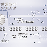 浦发Visa梦卡境外消费