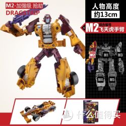 Hasbro 孩之宝 TF 变形金刚 经典加强级系列 B1177 抢劫